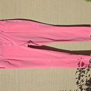 FABRIZIO GIANNI ▪︎ Women's Pink Classic 5 Pocket Jeans, Size 14, Hi Rise